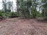 147 Roebuck Street - Photo 3