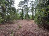 147 Roebuck Street - Photo 4