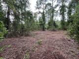 147 Roebuck Street - Photo 5