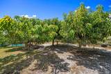 9909 Indian River Drive - Photo 32