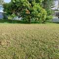 2482 Floresta Drive - Photo 19