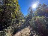 223 Mourning Dove Road - Photo 2
