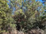 223 Mourning Dove Road - Photo 3