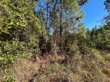 223 Mourning Dove Road - Photo 5
