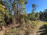 223 Mourning Dove Road - Photo 6