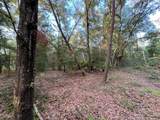 Tbd Twin Lakes Road - Photo 5