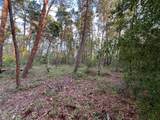 Tbd Twin Lakes Road - Photo 6