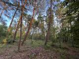 Tbd Twin Lakes Road - Photo 7