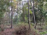 Tbd Twin Lakes Road - Photo 8
