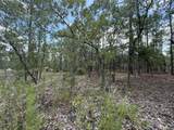 Tbd Tree Top Road - Photo 3