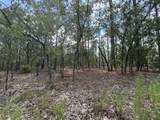 Tbd Tree Top Road - Photo 4