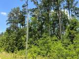 Tbd Grand Quiviera Circle - Photo 4
