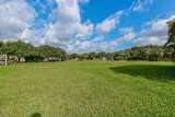 1133 Egret Circle - Photo 74