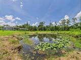 13391 14th Avenue - Photo 49