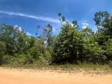 Tbd Tamarac Road - Photo 4