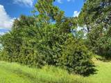 7066 Bargello Street - Photo 3