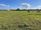 7305 41st Street - Photo 11