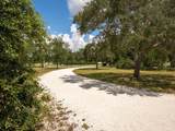 101 Park Shores Circle - Photo 48