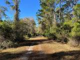 208 3rd Street - Photo 4