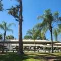 218 Caribbean - Photo 84