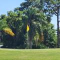 218 Caribbean - Photo 85