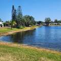 218 Caribbean - Photo 86