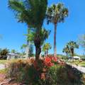 218 Caribbean - Photo 87