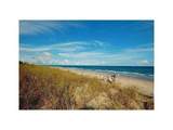 2871 Ocean Boulevard - Photo 3
