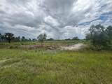 17982 318th Street - Photo 4