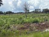 17982 318th Street - Photo 6