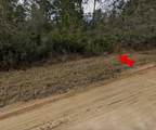 003 Creager Avenue - Photo 1