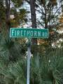1832 Firethorn Road - Photo 2