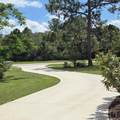 7820 Saddlebrook Drive - Photo 47