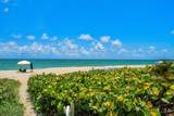 2784 Ocean Boulevard - Photo 47