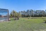 927 Orange Cosmos Boulevard - Photo 50