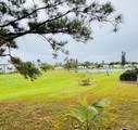 17 Nuevo Leon Rd Road - Photo 13