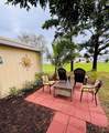 17 Nuevo Leon Rd Road - Photo 14