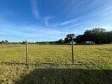 15628 310th Street - Photo 36
