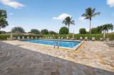 9800 Tabebuia Tree Drive - Photo 59