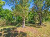 61 Caribbean - Photo 46