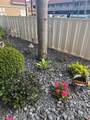 5951 Regal Glen Drive - Photo 26