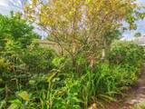 677 Royal Palm - Photo 7