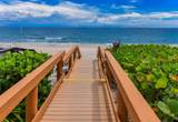 3115 Ocean Boulevard - Photo 23