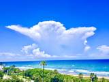 4101 Ocean Boulevard - Photo 49