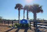 10124 Hemingway Terrace - Photo 9