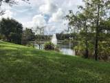 141 Thatch Palm Circle - Photo 4