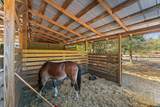 6705 Gator Trail - Photo 56