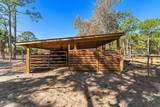 6705 Gator Trail - Photo 60