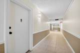 3456 Ocean Boulevard - Photo 30