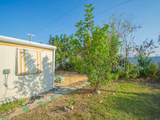 335 Tropicalia Lane - Photo 26